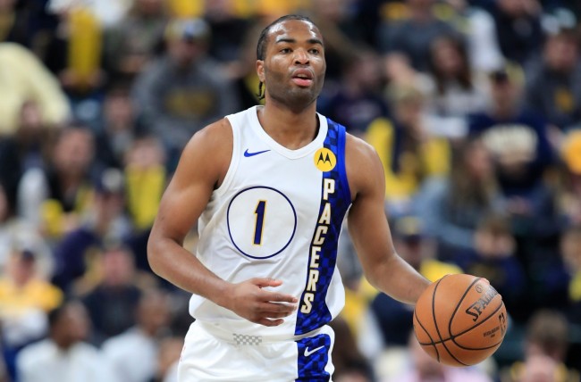 当家族成员 当家族成员